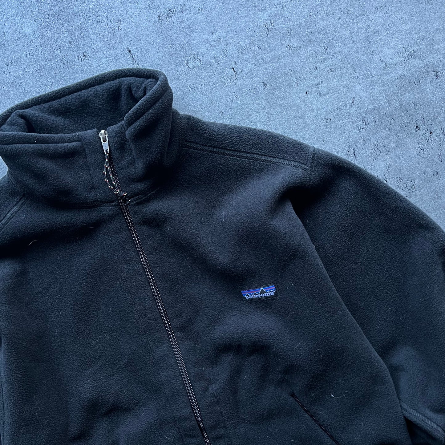 Patagonia fleece jacket